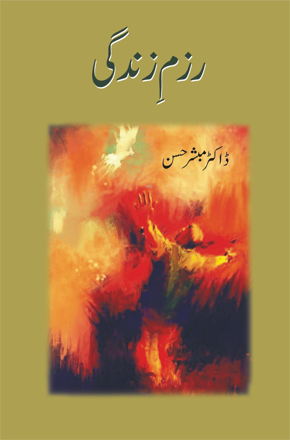 RAZM E ZINDAGI رزم زندگی
