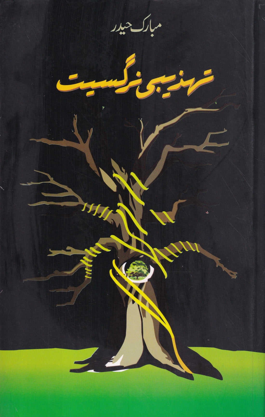 TEHZEEBI NARGASIYAT