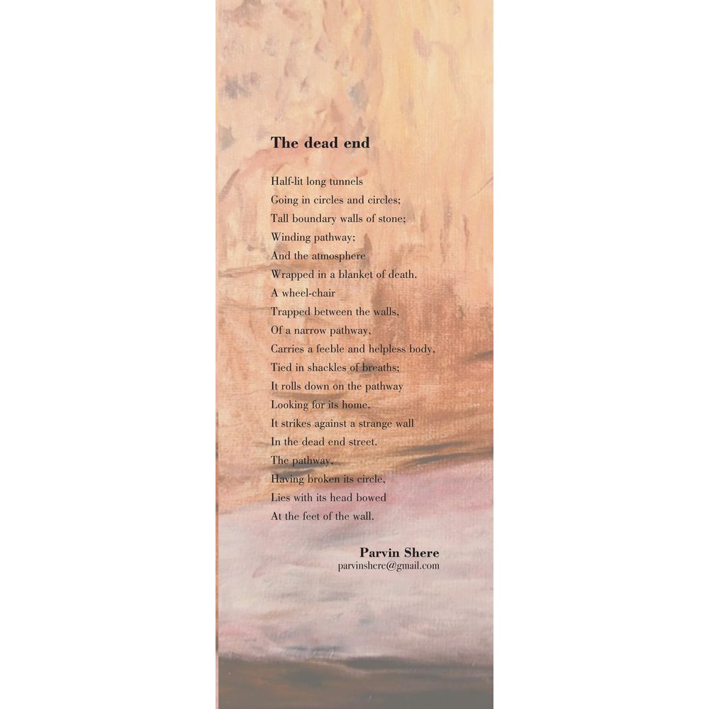 Echoing Silence (Selected Poems) - Parvin Shere