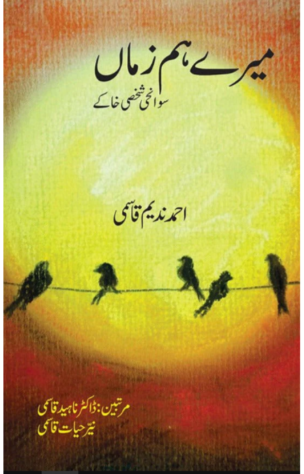 Mere Hum Zamaan
