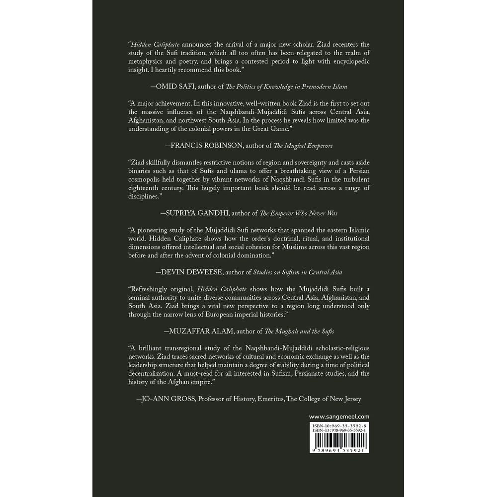 Hidden Caliphate: Sufi Saints beyond the Oxus and Indus - Waleed Ziad