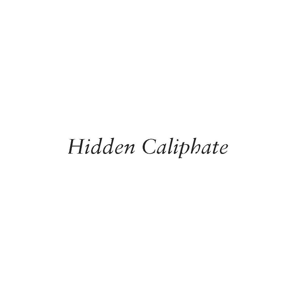 Hidden Caliphate: Sufi Saints beyond the Oxus and Indus - Waleed Ziad