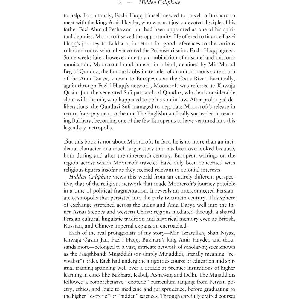 Hidden Caliphate: Sufi Saints beyond the Oxus and Indus - Waleed Ziad