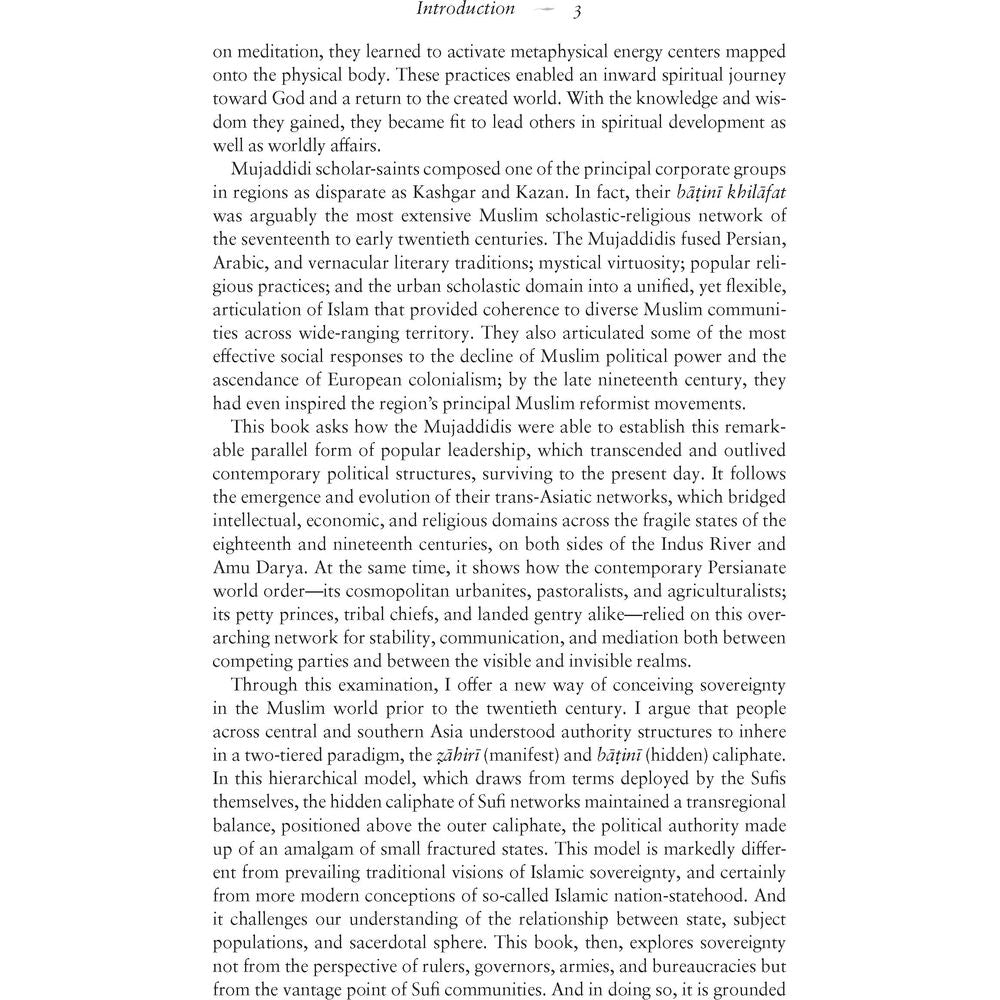 Hidden Caliphate: Sufi Saints beyond the Oxus and Indus - Waleed Ziad