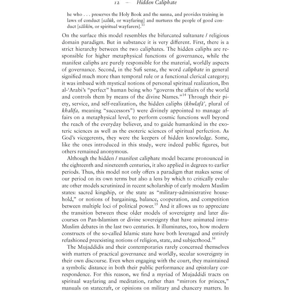 Hidden Caliphate: Sufi Saints beyond the Oxus and Indus - Waleed Ziad