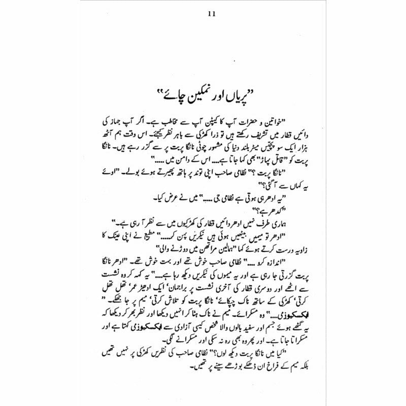 Nanga Parbat  - Mustansar Hussain Tarar