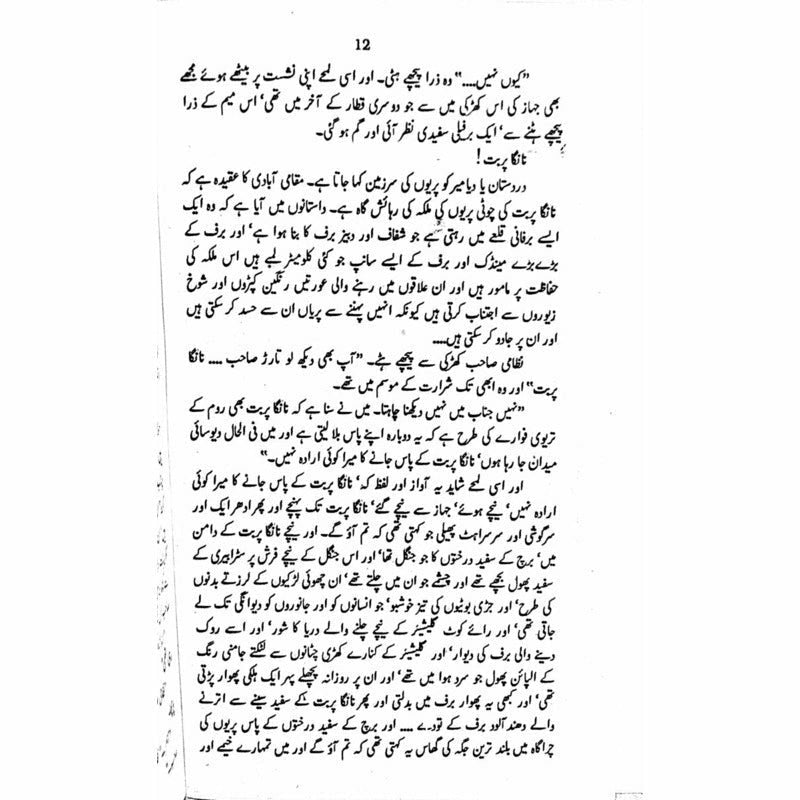 Nanga Parbat  - Mustansar Hussain Tarar