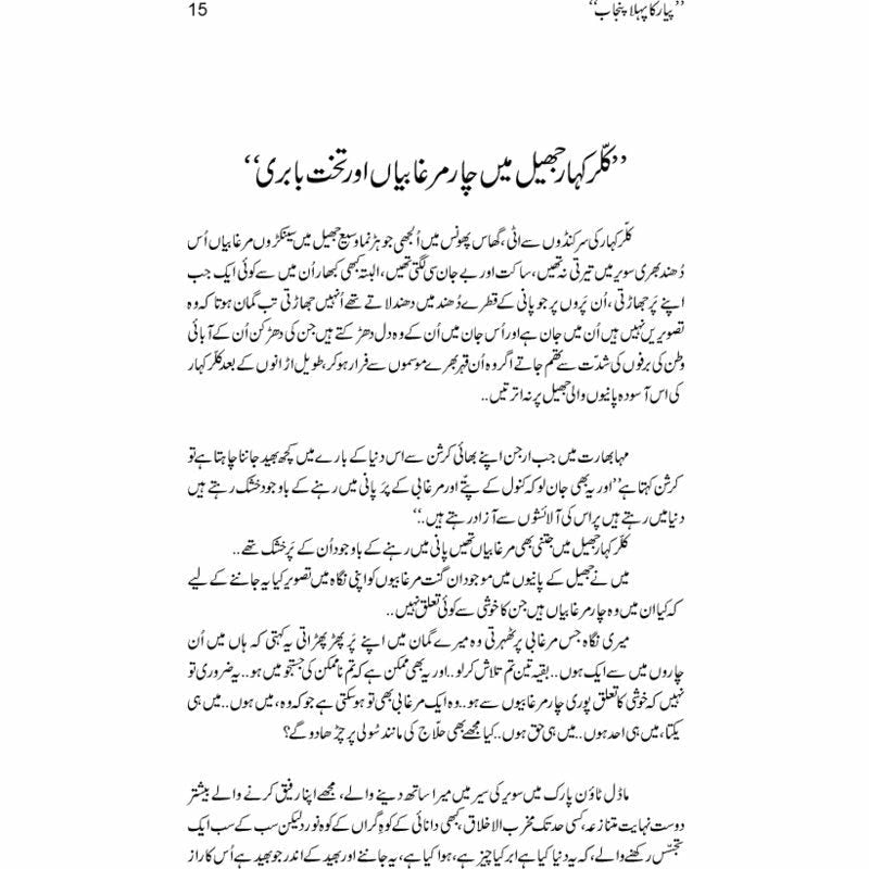 Pyar Ka Pehla Punjab: Nau Din Punjab Kay  - Mustansar Hussain Tarar