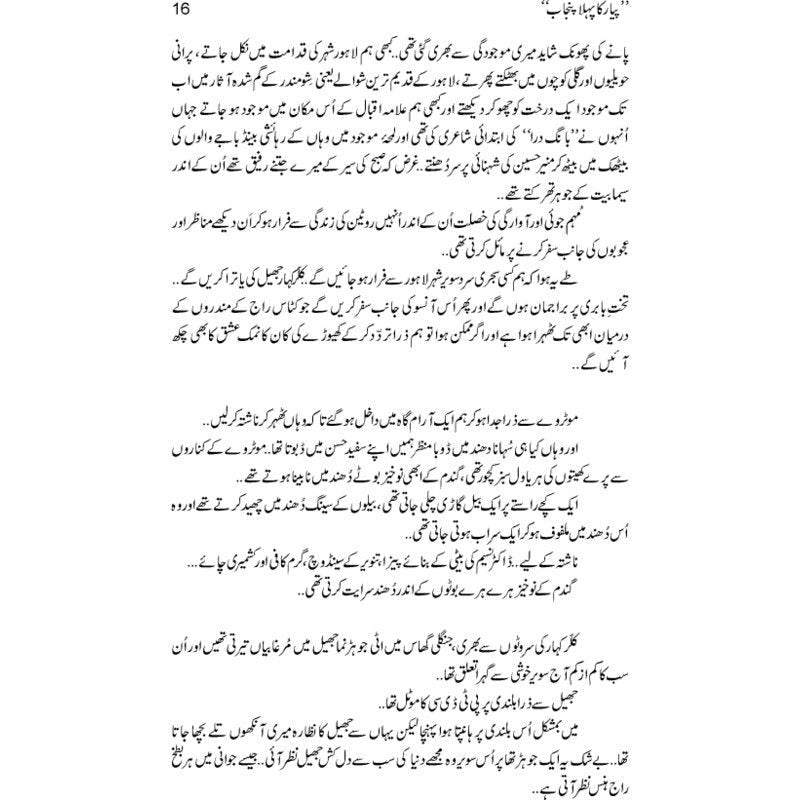 Pyar Ka Pehla Punjab: Nau Din Punjab Kay  - Mustansar Hussain Tarar