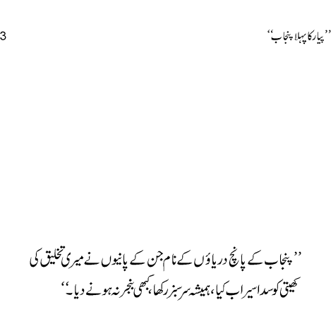 Pyar Ka Pehla Punjab: Nau Din Punjab Kay  - Mustansar Hussain Tarar