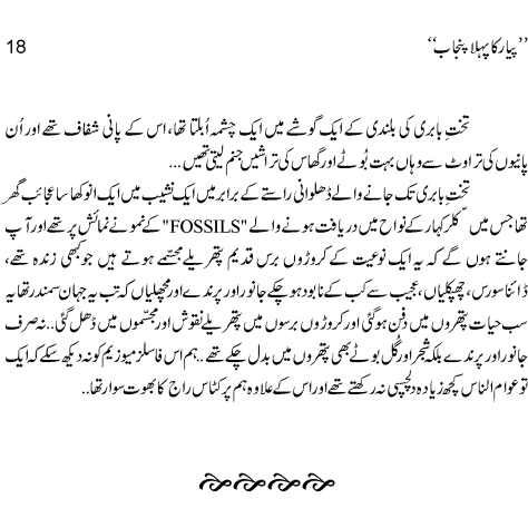 Pyar Ka Pehla Punjab: Nau Din Punjab Kay  - Mustansar Hussain Tarar