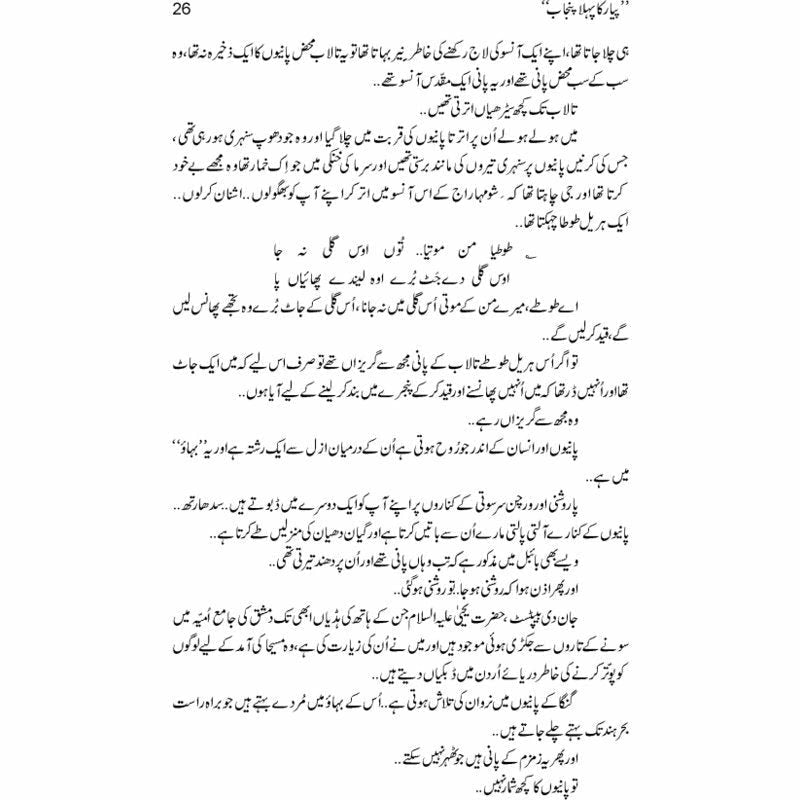 Pyar Ka Pehla Punjab: Nau Din Punjab Kay  - Mustansar Hussain Tarar