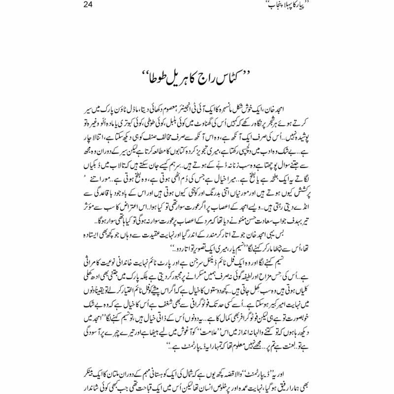 Pyar Ka Pehla Punjab: Nau Din Punjab Kay  - Mustansar Hussain Tarar