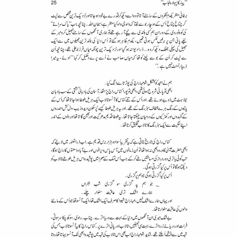 Pyar Ka Pehla Punjab: Nau Din Punjab Kay  - Mustansar Hussain Tarar