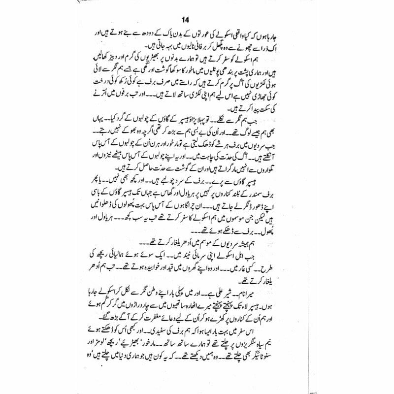 Snow Lake  - Mustansar Hussain Tarar