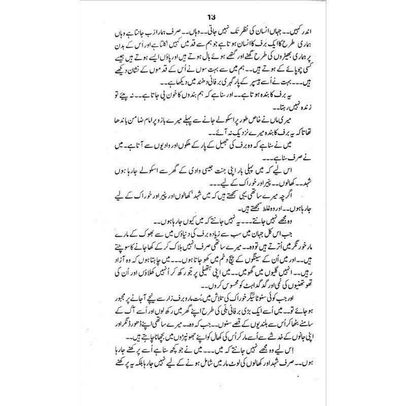 Snow Lake  - Mustansar Hussain Tarar
