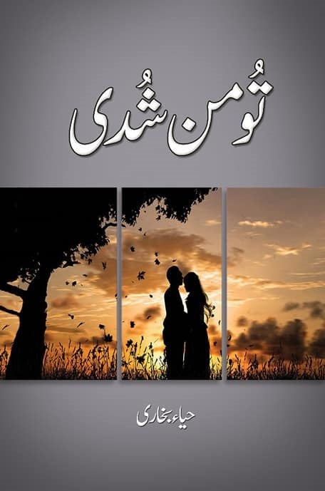 Tu Man Shudi - تو من شدی