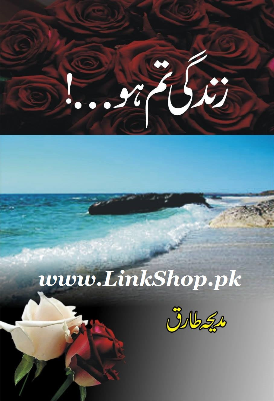 Zindagi Tum Ho - زندگی تم ہو